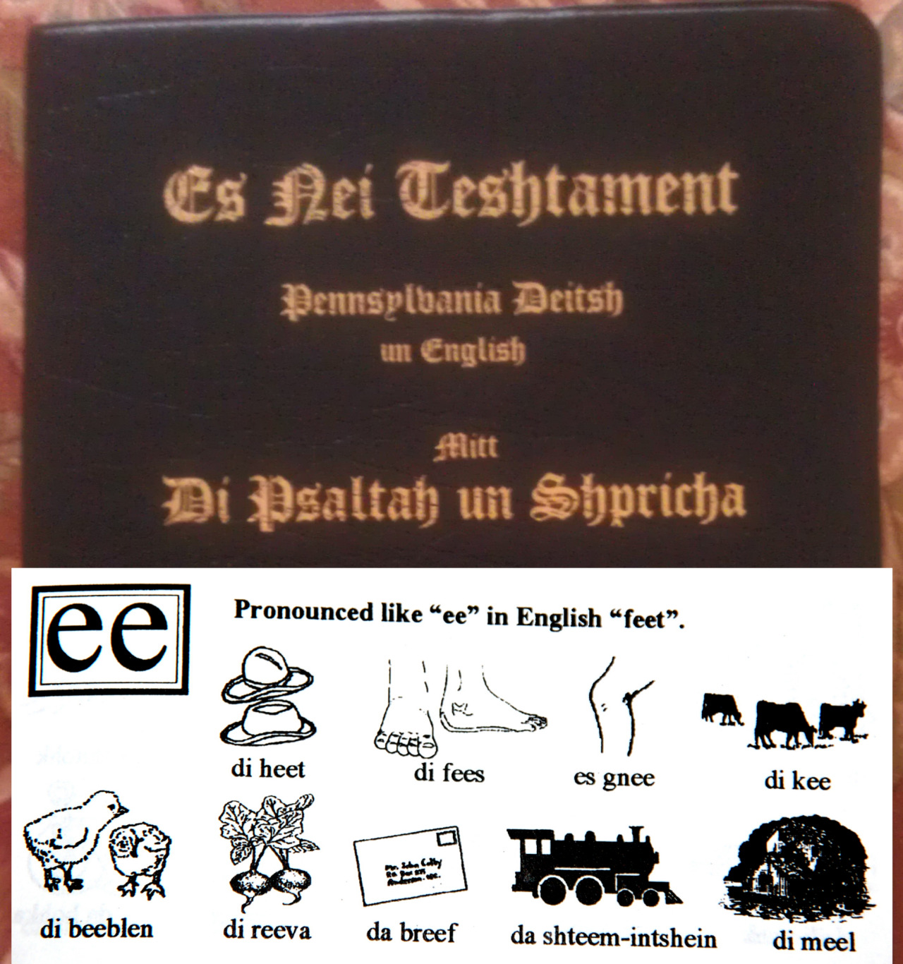 Amish Bible