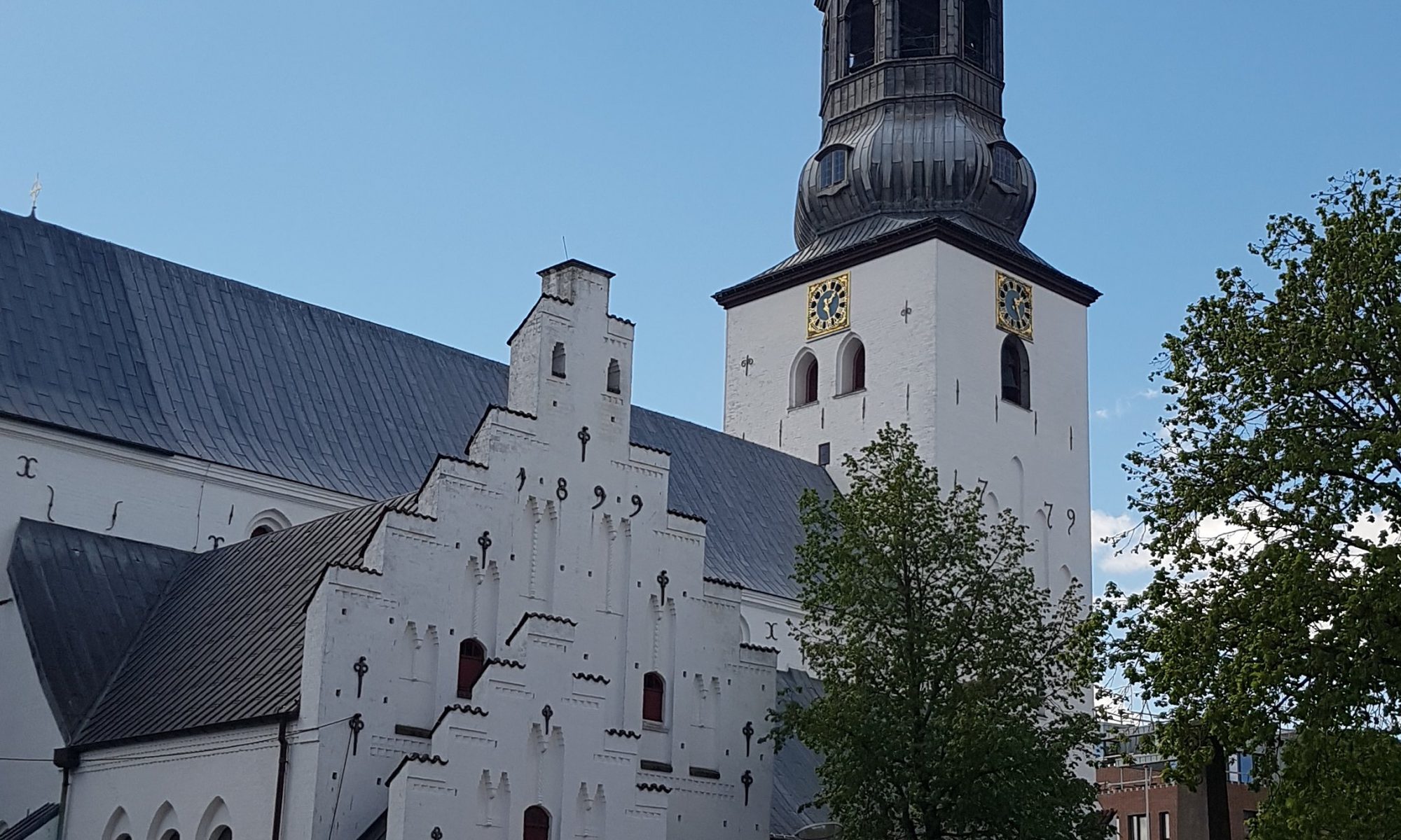 Budolfi Church in Aalborg