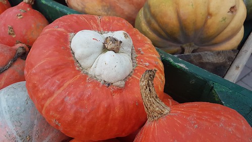 Pumpkin