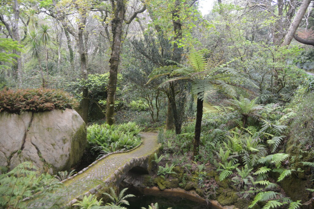 Pena Park